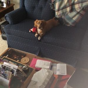 Meet your Posher, Ben